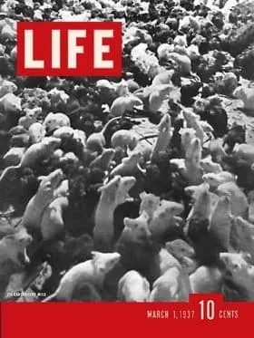 ライフ マガジン 1970 1月19 LIFE Magazine JANUARY LIFE Magazine January 30, 1970 @ Original LIFE Magazines.com