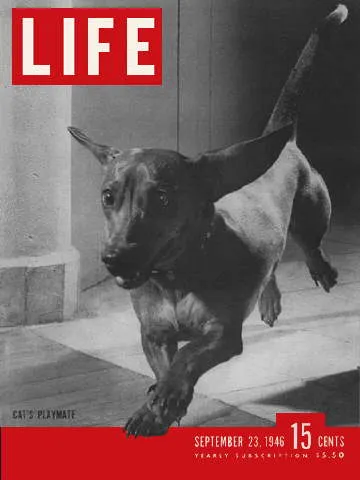LIFE Magazine September 23