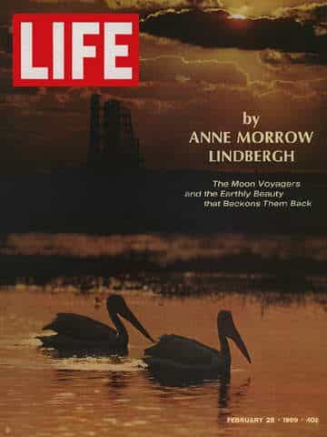 LIFE Magazine February 28