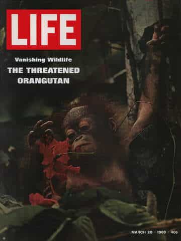 LIFE Magazine March 28
