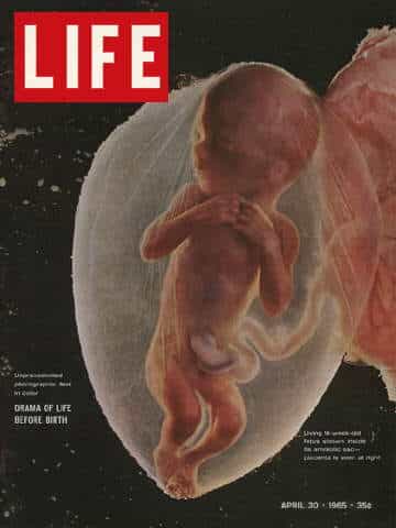 LIFE Magazine April 30