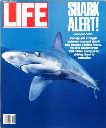 LIFE Magazine August 1991