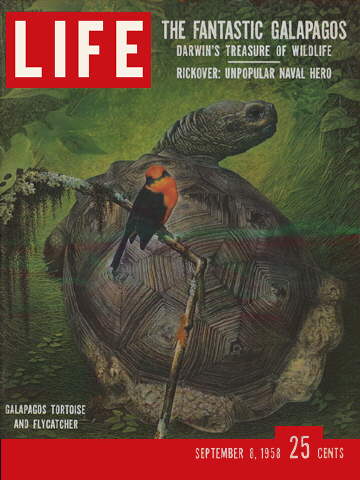 LIFE Magazine September 8