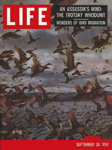 LIFE Magazine September 28