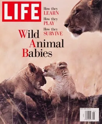 LIFE Magazine May 1995
