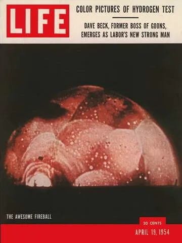 LIFE Magazine April 19