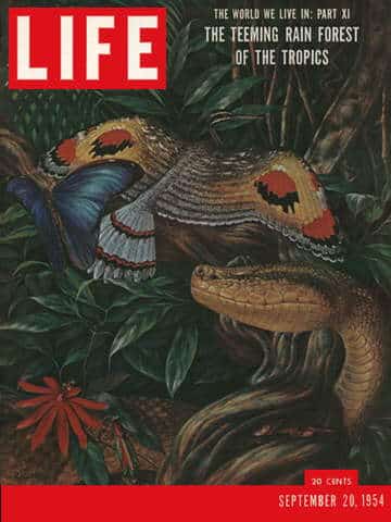 LIFE Magazine September 20