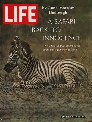 LIFE Magazine October 21