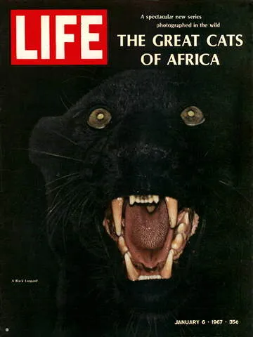 LIFE Magazine January 6