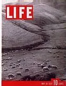 LIFE Magazine May 24