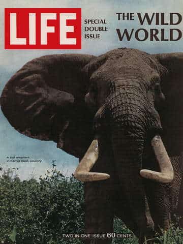 LIFE Magazine December 22