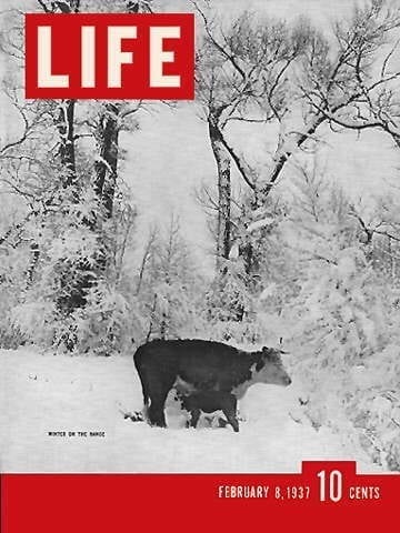 LIFE Magazine February 8