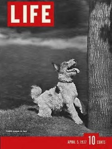 LIFE Magazine April 5