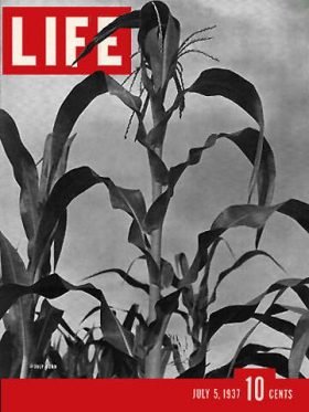 LIFE Magazine July 5