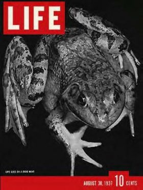 LIFE Magazine August 30