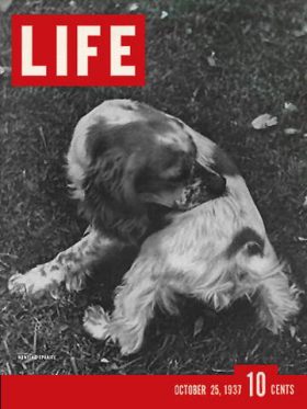 LIFE Magazine October 25