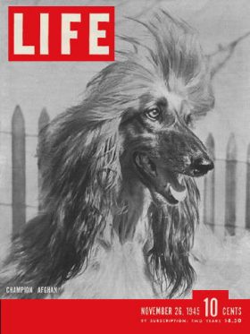 LIFE Magazine November 26