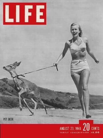 LIFE Magazine August 23