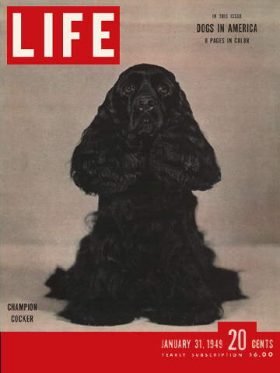 LIFE Magazine January 31