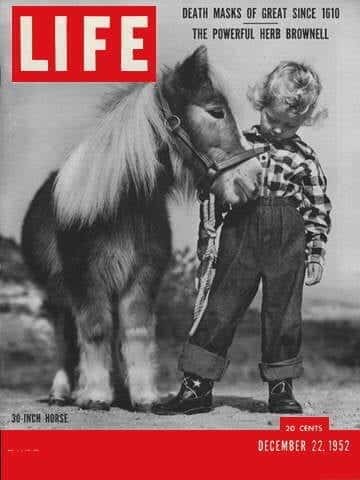 LIFE Magazine December 22