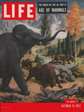 LIFE Magazine October 19