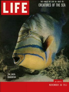 LIFE Magazine November 30