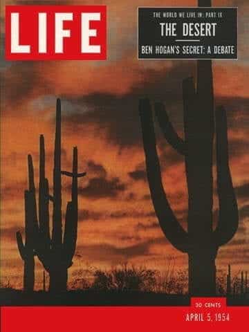 LIFE Magazine April 5