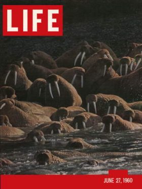 LIFE Magazine June 27