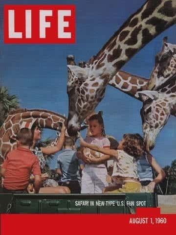 LIFE Magazine August 1