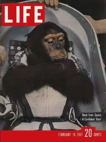 LIFE Magazine February 10
