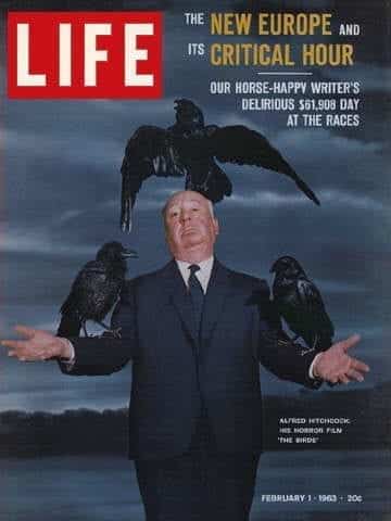 LIFE Magazine February 1