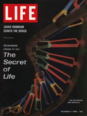 LIFE Magazine October 4