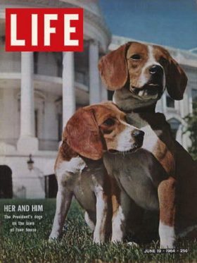 LIFE Magazine June 19