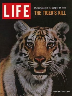 LIFE Magazine June 25