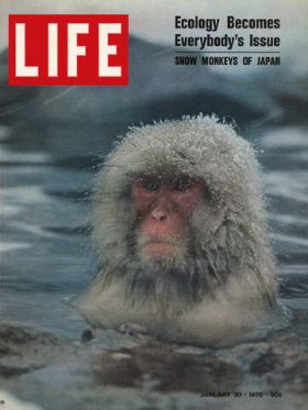 LIFE Magazine January 30