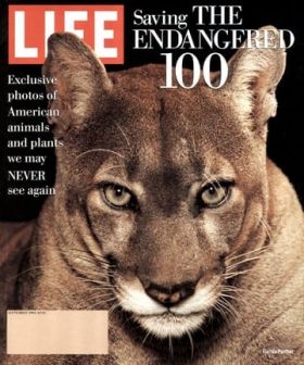 LIFE Magazine September 1994