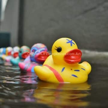 Rubber Ducks Parade