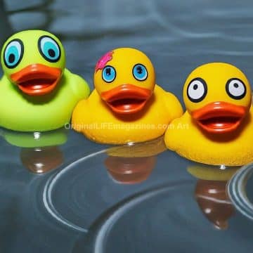 Three Stooges Rubber Ducks