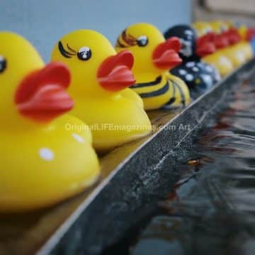 Duck Lips