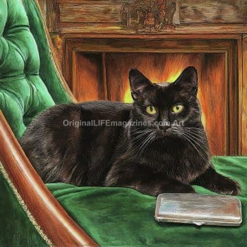 Black Cat on Green Velvet Divan 1